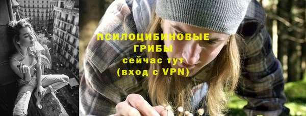 герыч Алексин
