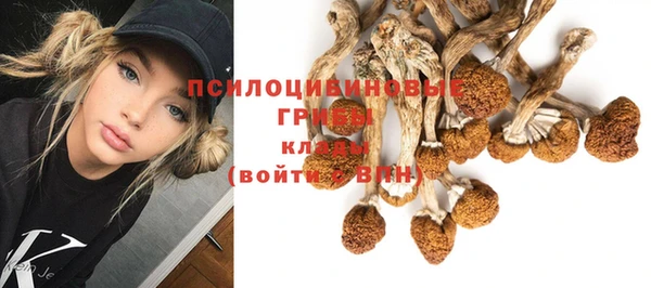 прущая мука Алзамай