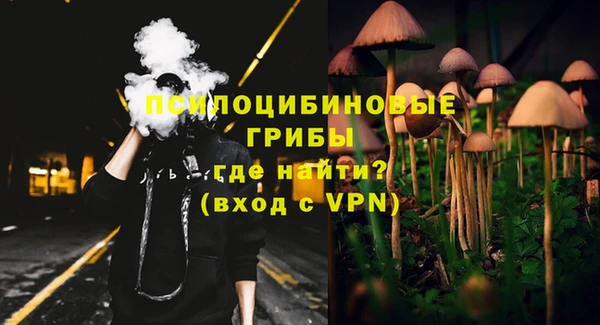 герыч Алексин