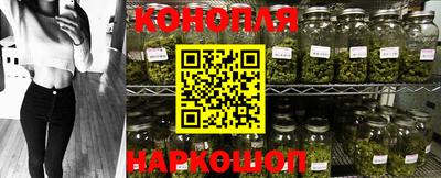 стафф Севастополь