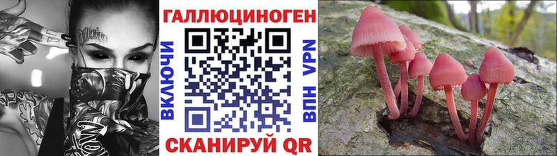 мега как войти  цена наркотик  Санкт-Петербург  Галлюциногенные грибы прущие грибы 
