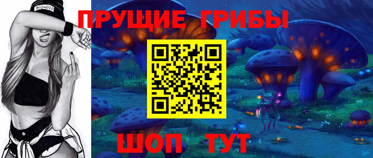 Галлюциногенные грибы прущие грибы Санкт-Петербург