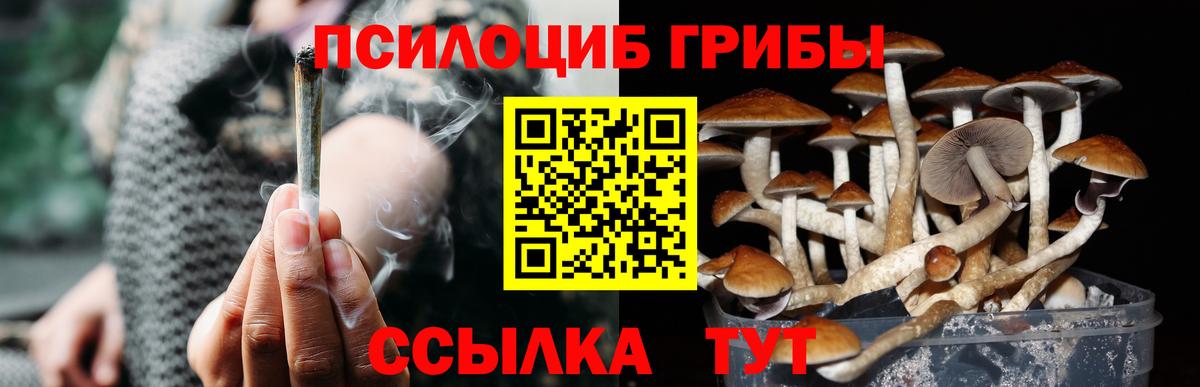Санкт-Петербург  Псилоцибиновые грибы Psilocybe  Псилоцибиновые грибы Psilocybe  Вход с VPN 